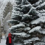 Mammoth Lakes
